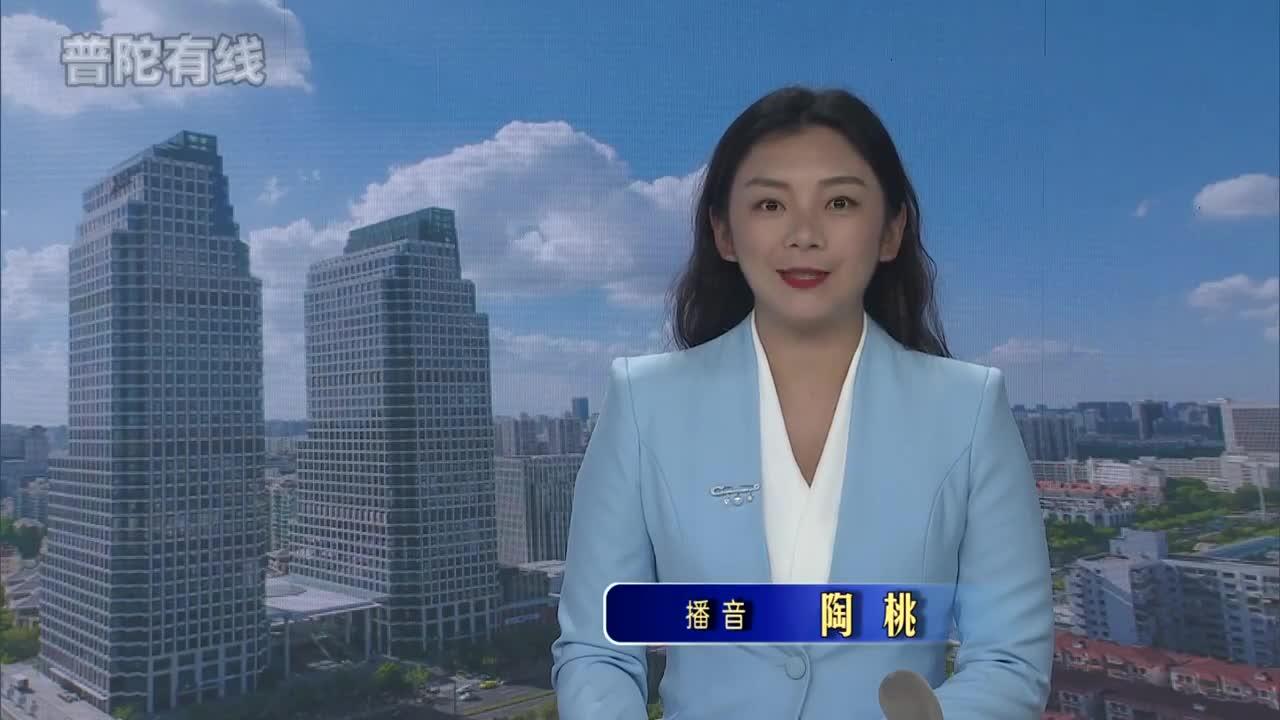 20260812普陀新闻视频