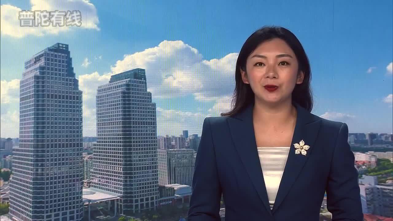 20260809普陀新闻视频