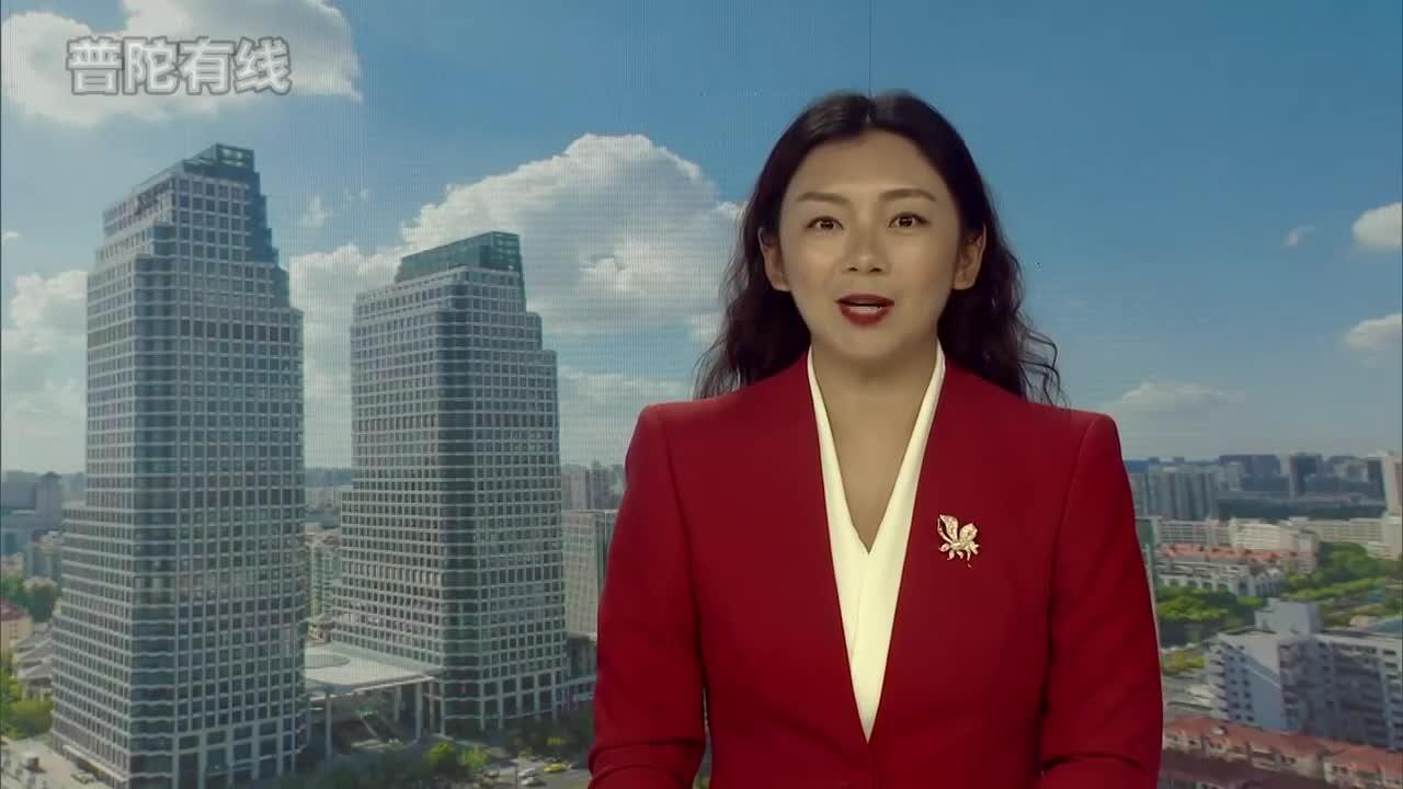 20260806普陀新闻视频