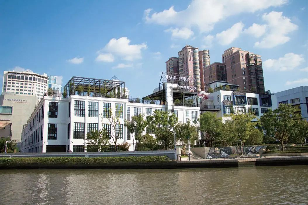 1122_182413_846.jpg f.jpg