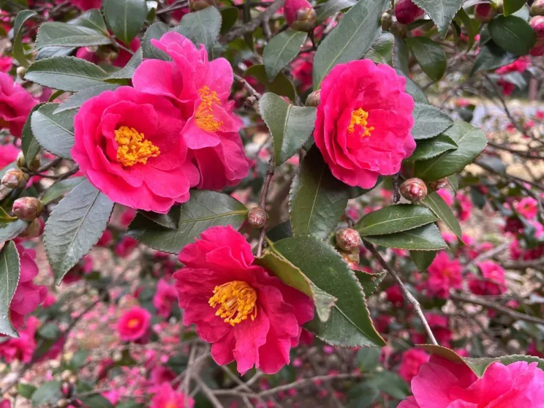 1211_095331_211.jpg 0 (3).jpg