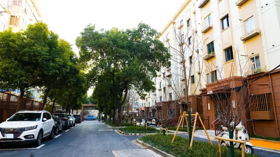 【真光四焕新记】新春服务“不断档”，真如物业以真心换民心