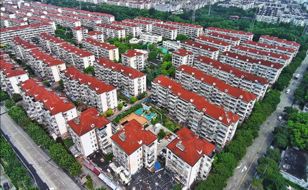 【美好真如】真如镇街道治理的温暖底色：“真”心实付，暖治“如”愿