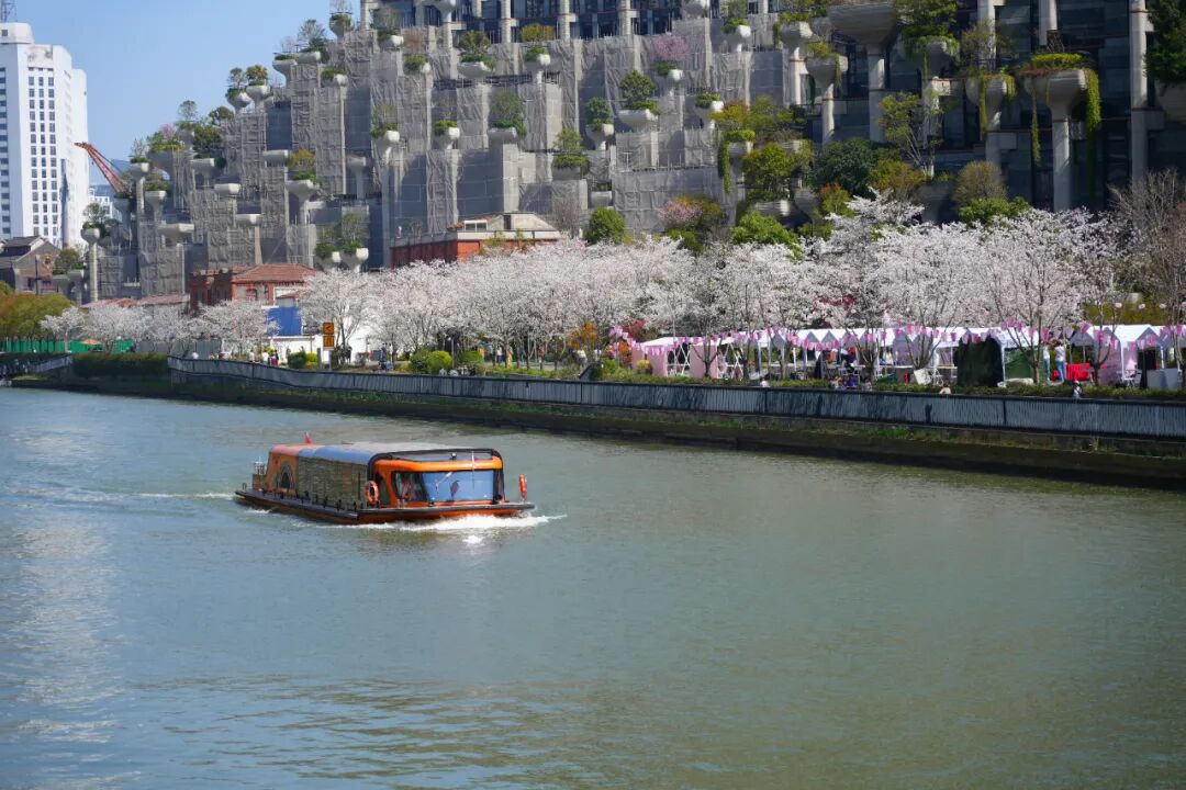 漫步普陀，在苏河画卷中发现宜居新景